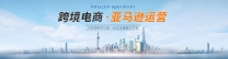 亚马逊运营，亚马逊代运营，亚马逊开店，亚马逊优化，外贸运营，