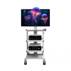 徐州史克斯光电科技有限公司提供4K荧光内窥镜摄像系统S91-